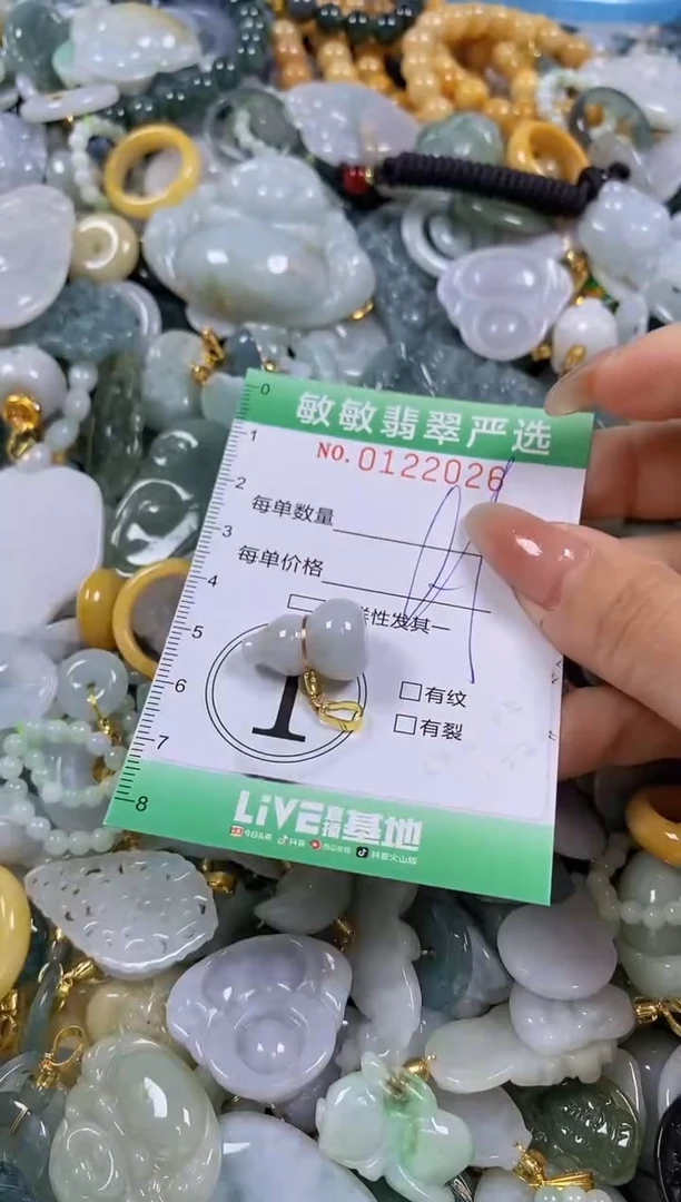 【闪购商品】翡翠颈饰未镶嵌闪购0122026