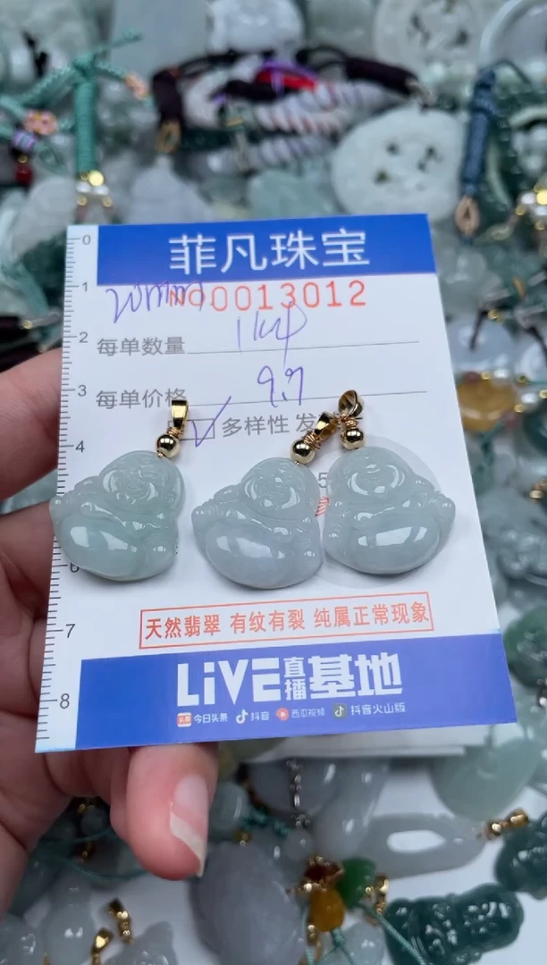 颈饰未镶嵌翡翠13012多样性发其一   拍一单发一件  一件9.9元