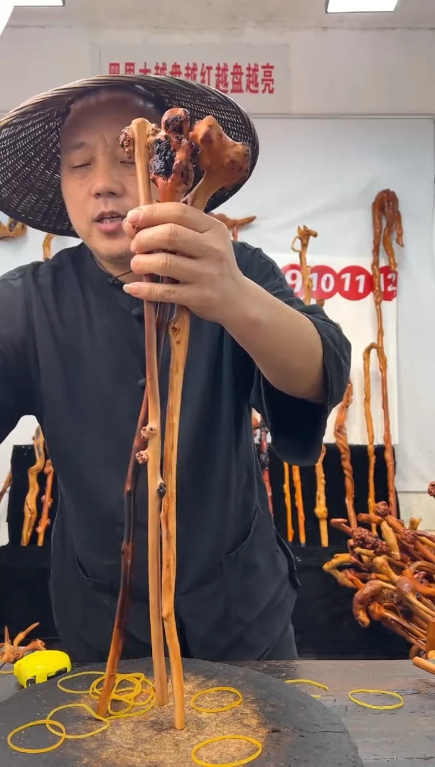 黑果木其他黑果木736