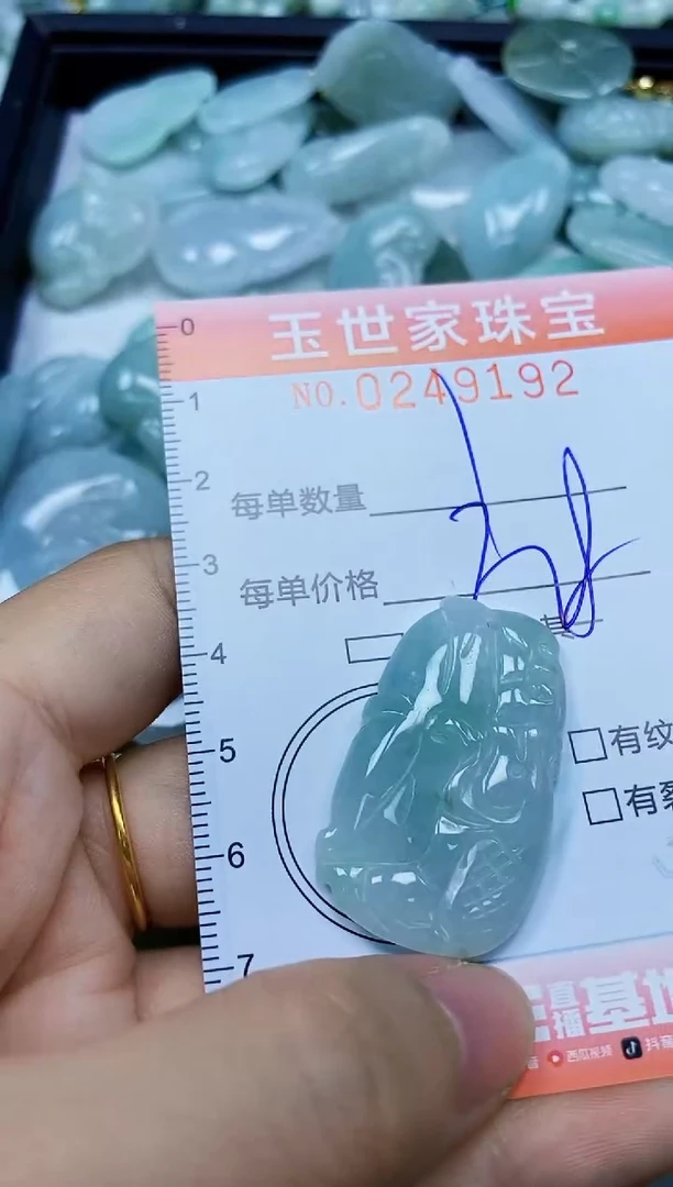 翡翠未镶嵌颈饰闪购0249192