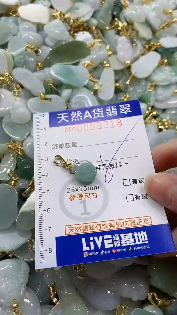 颈饰未镶嵌翡翠纯天然a货翡翠