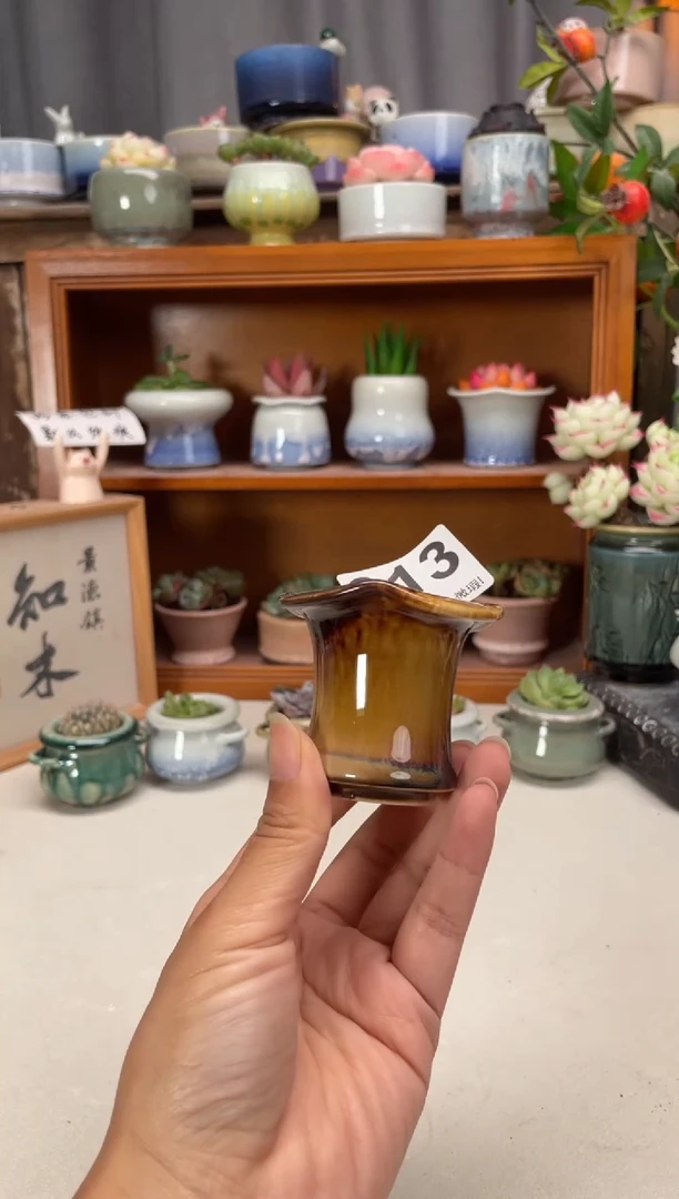 瓷片313知木小芳花盆