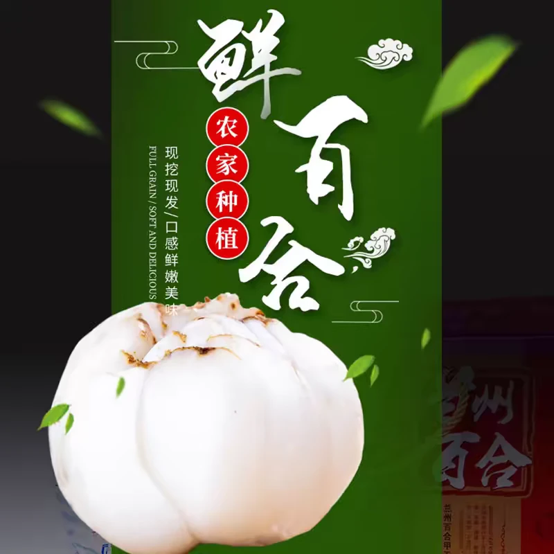 九年生兰州鲜百合 现挖现发  可能会带有少量自然锈斑