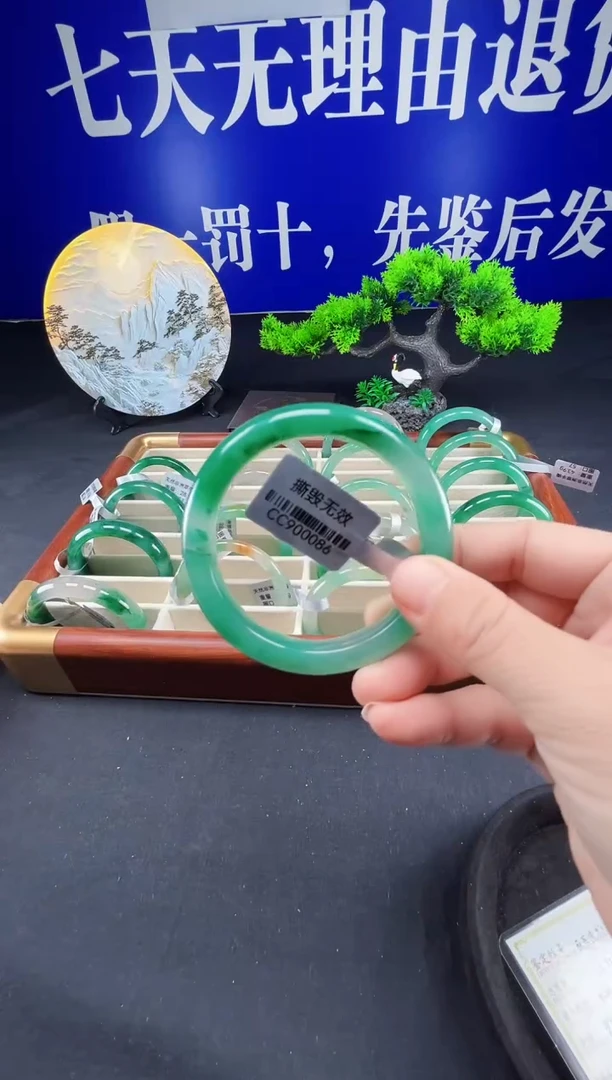 未镶嵌手镯石英质玉（非洲翠）真品上等纯天然非洲翠玉手镯