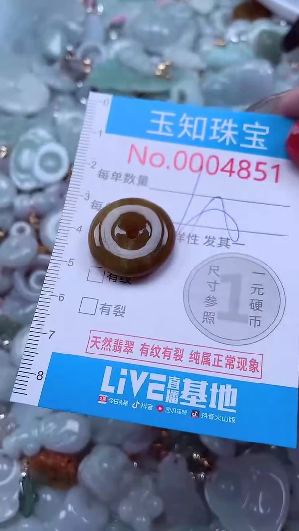 吊坠(不含链)未镶嵌翡翠4851