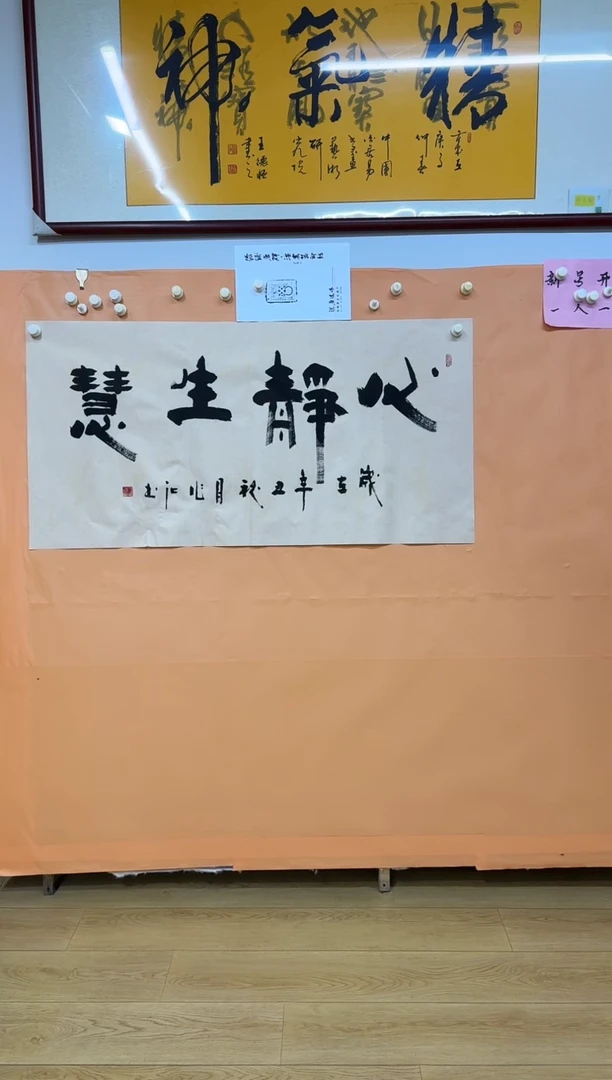 书法心静生慧作品