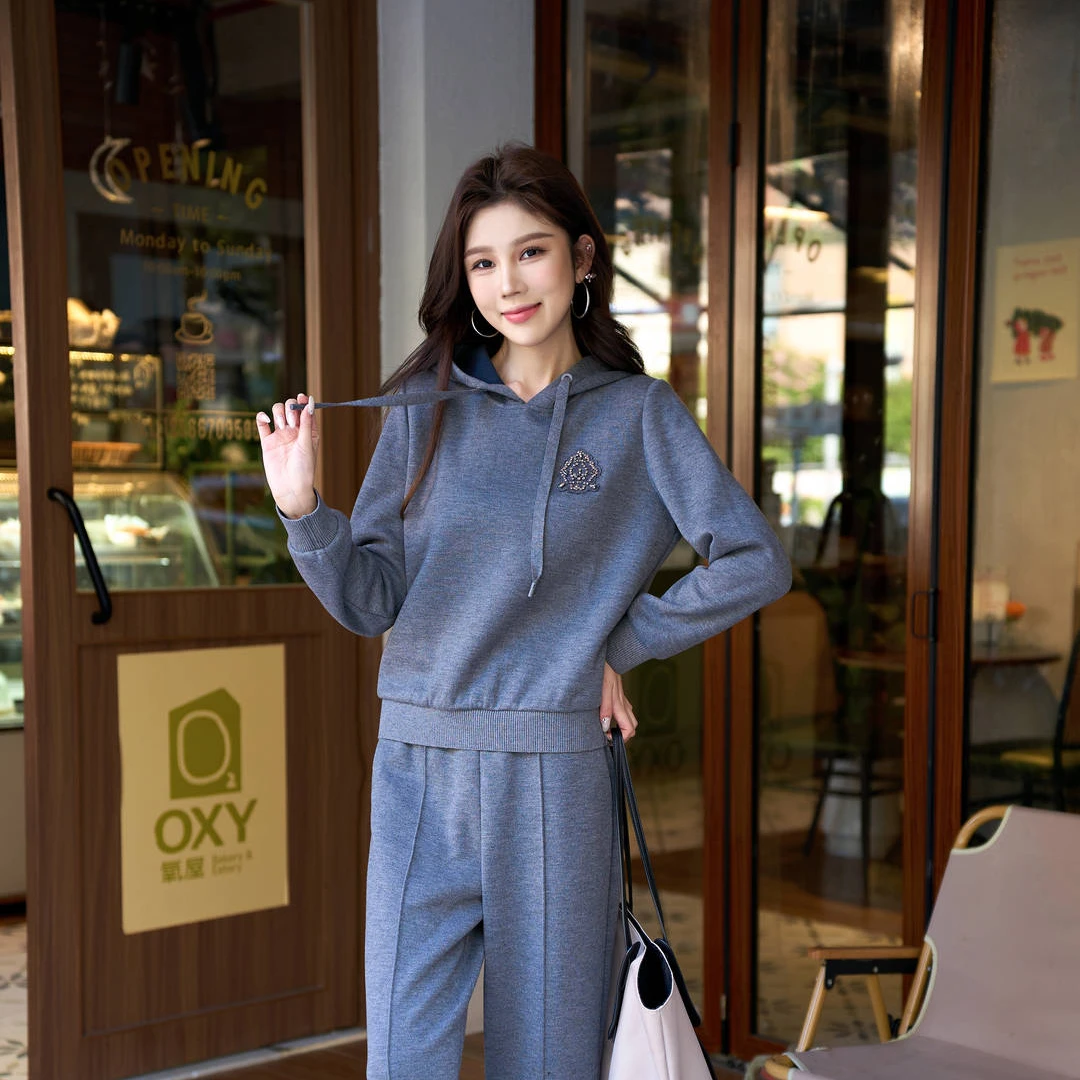 ToyzY 24年冬季运动洋气时尚长袖休闲连帽针织衫ZC34560400