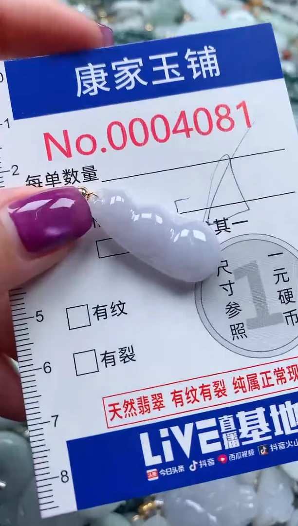 颈饰未镶嵌翡翠4081
