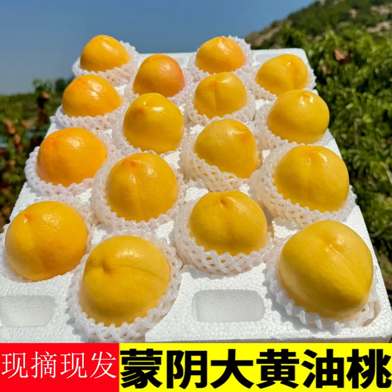黄油桃新鲜水果整箱当季山东蒙阴黄桃黄金油桃现摘现发