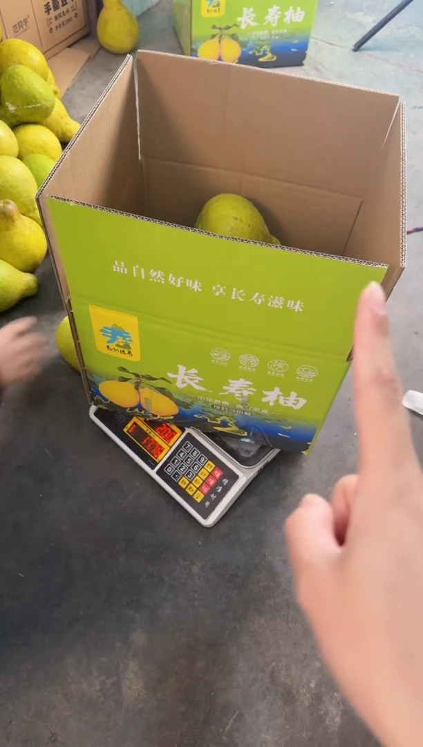 真龙柚长寿邻封沙田柚  花果 10个  17 斤+