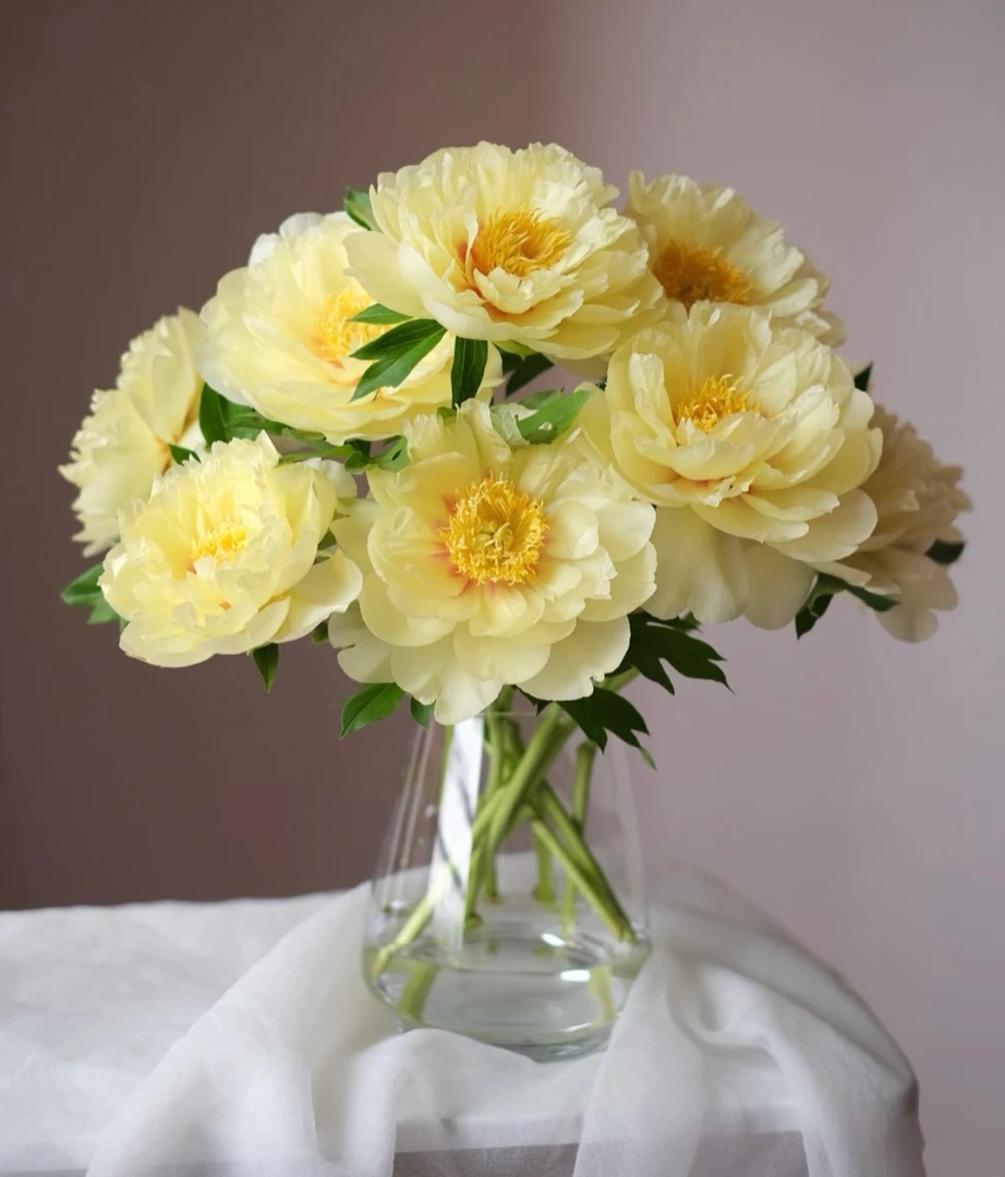 黄金芍药· 东方金  芭次拉 事业兴隆通四海 财源广进达三江