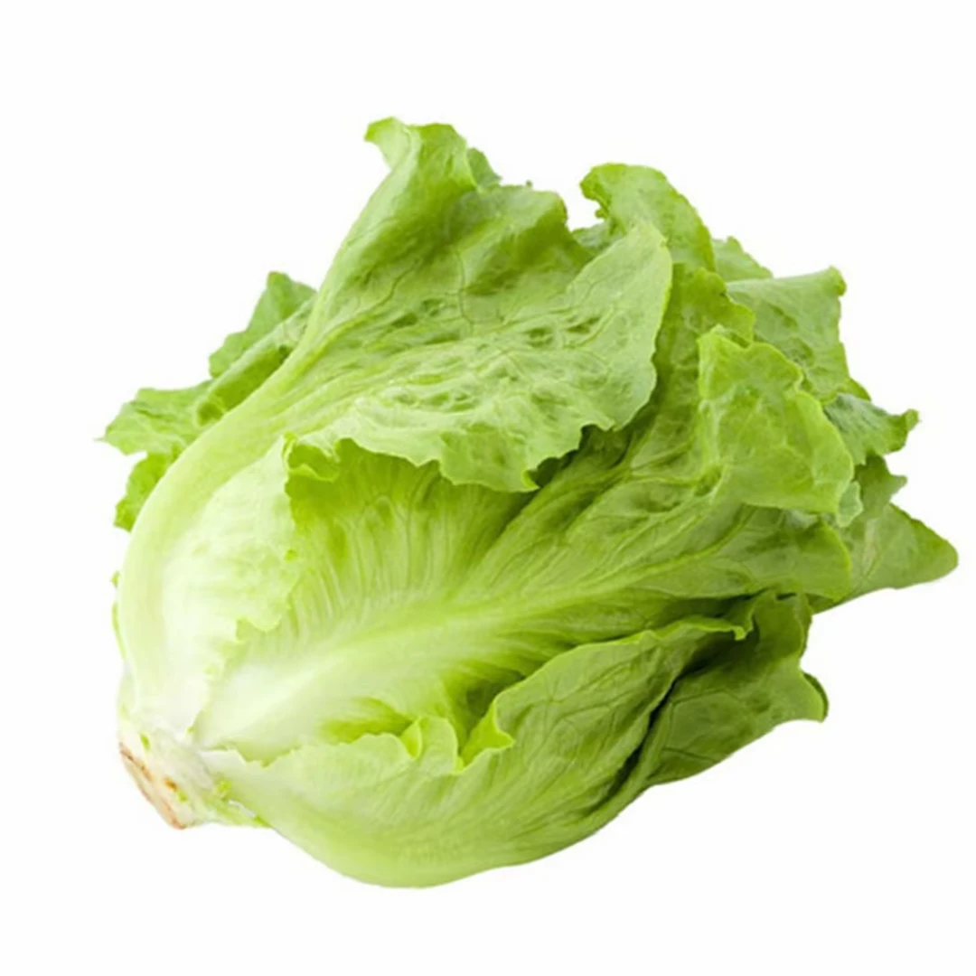 生菜 新鲜配送 400g(两颗)生菜