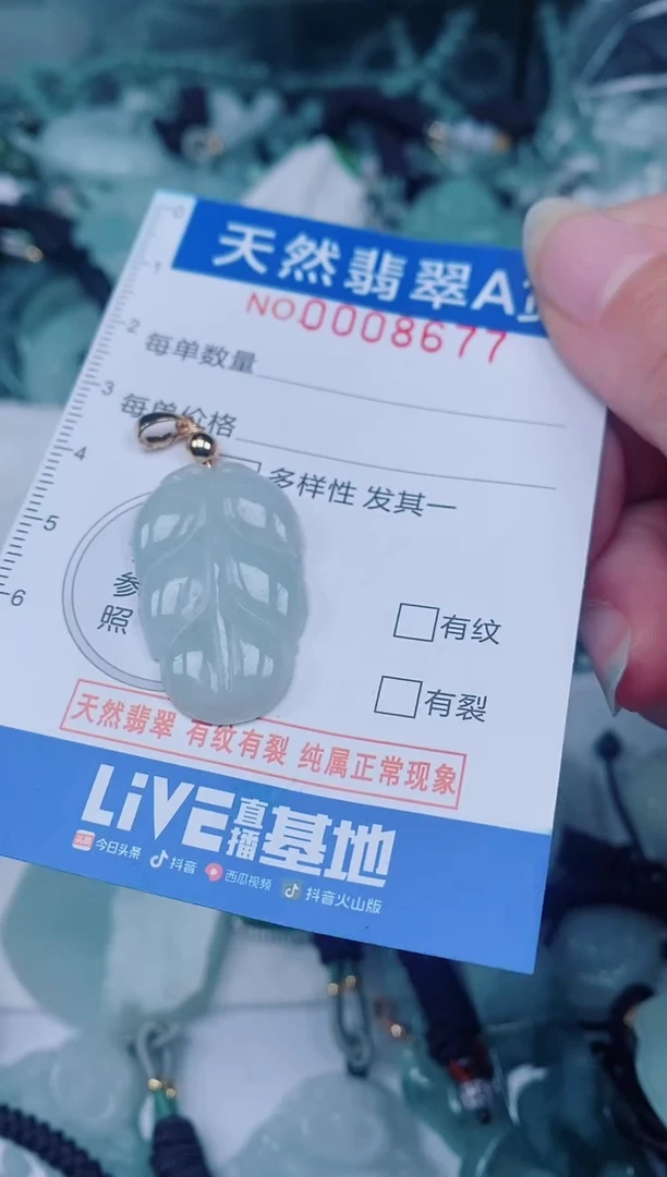 颈饰未镶嵌翡翠00008677