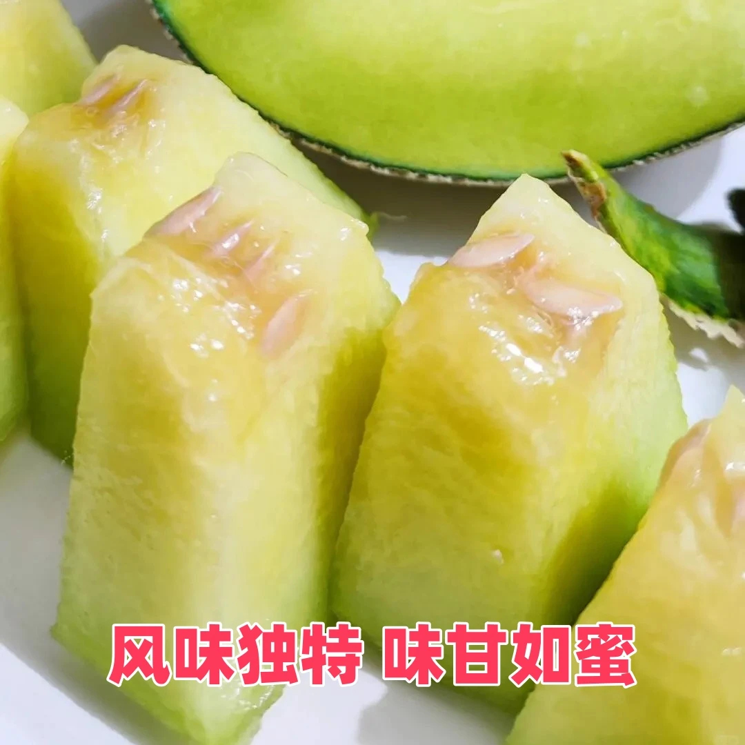 ‌‌新疆刀郎土瓜特色甜瓜色翠气香味道甘甜瓜中贵族