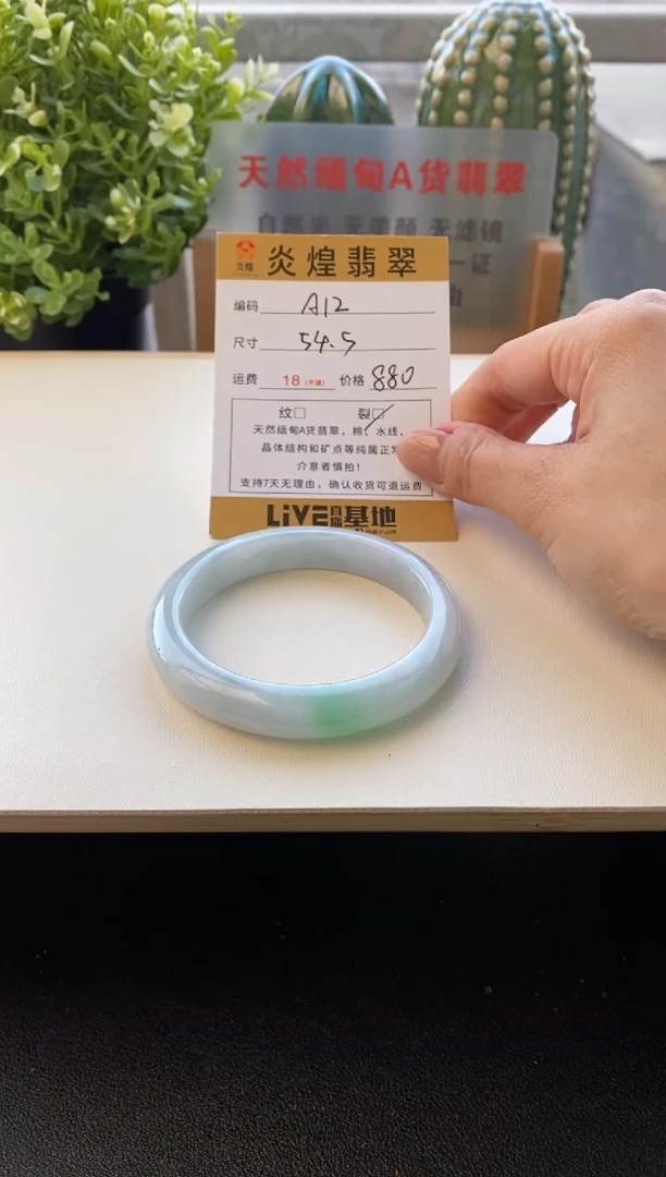 未镶嵌手镯翡翠圈口54.5编码A12
