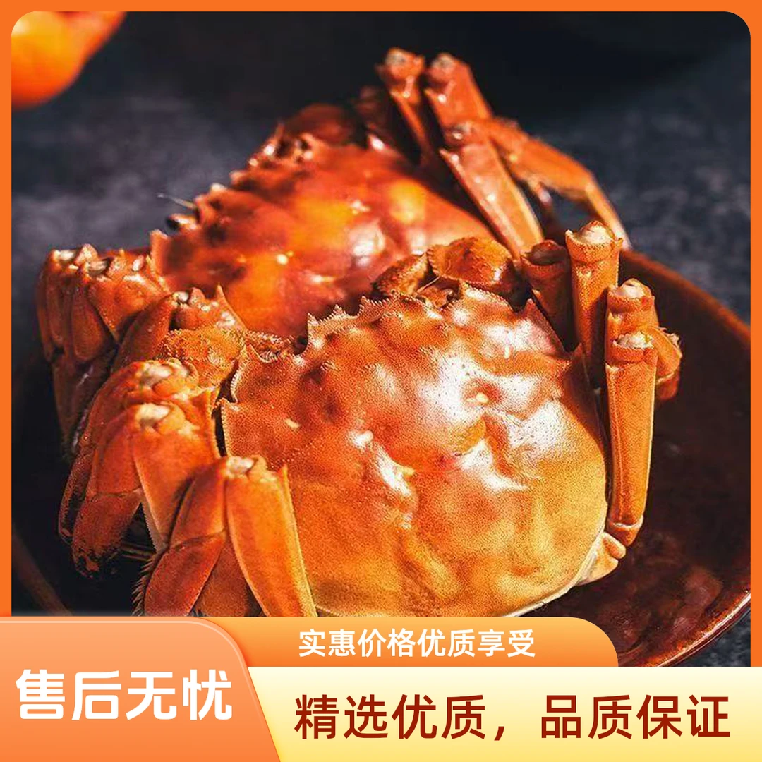 【到手10只】活蟹江苏河蟹全母蟹1.4-1.6两 8只装【顺丰/京东】