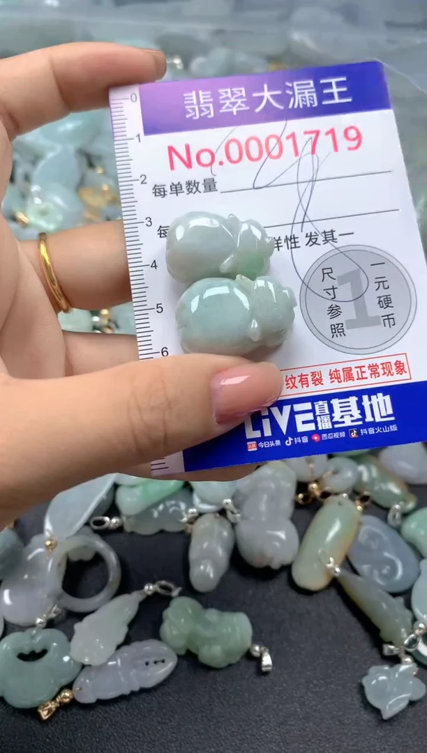 颈饰未镶嵌翡翠1719