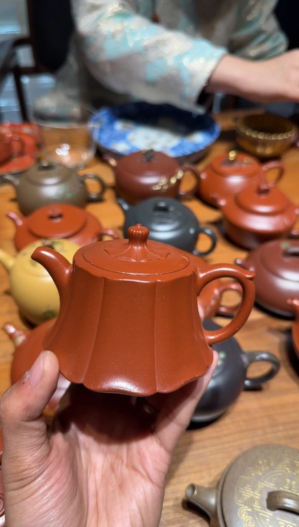 【闪购商品】夏淑君 金砂大红袍 葵础