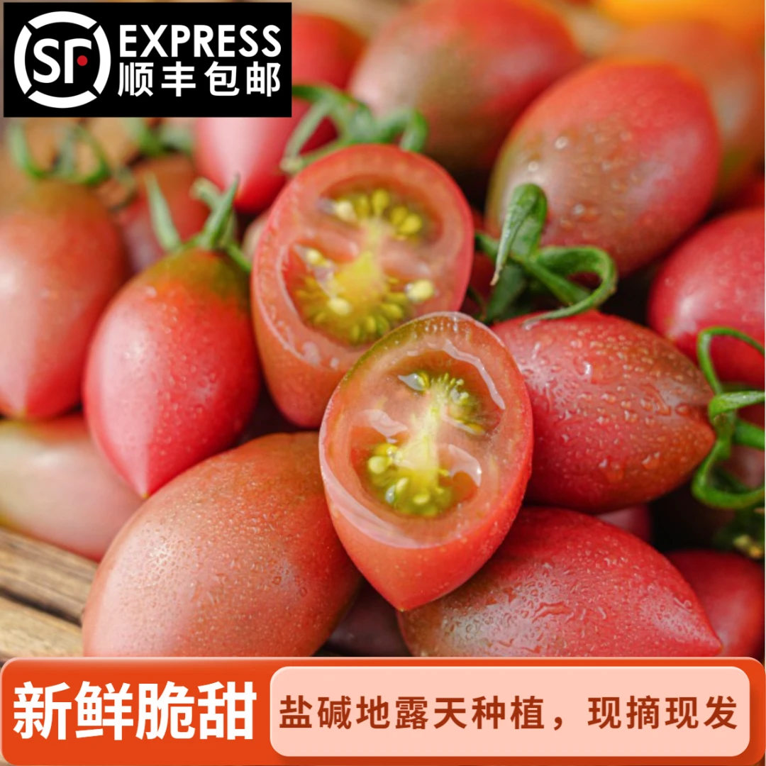 【顺丰包邮】盐碱地紫弹头小番茄圣女果柿子水果新鲜当季脆皮酸甜