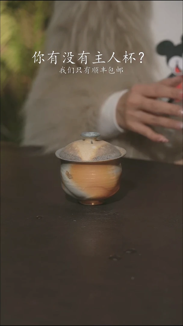 小龙堂柴烧不退不换489