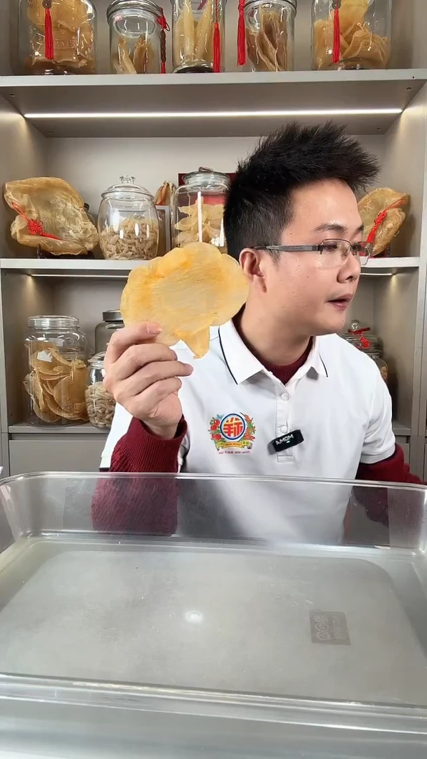 中国大陆赤嘴母一个胶