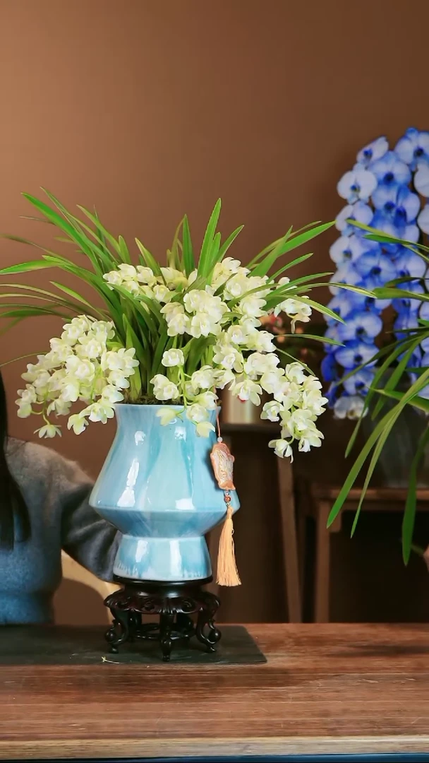 【闪购商品】盆景白玉香兰