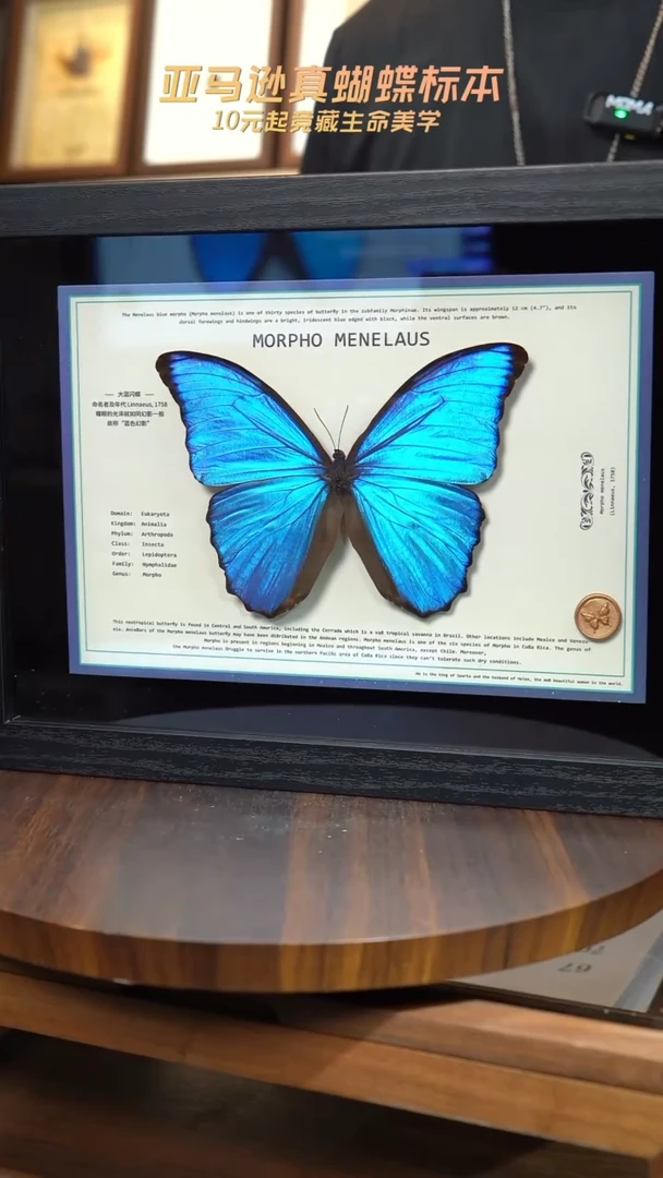 蓝闪悬浮款A4黑色平面框带证书