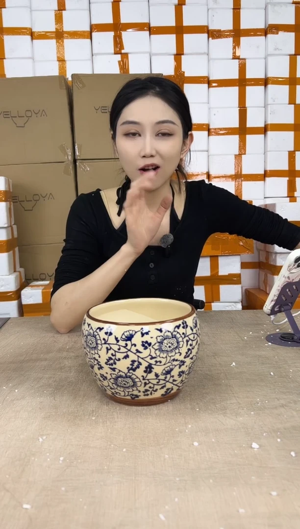 苹果青花瓷小号16x12