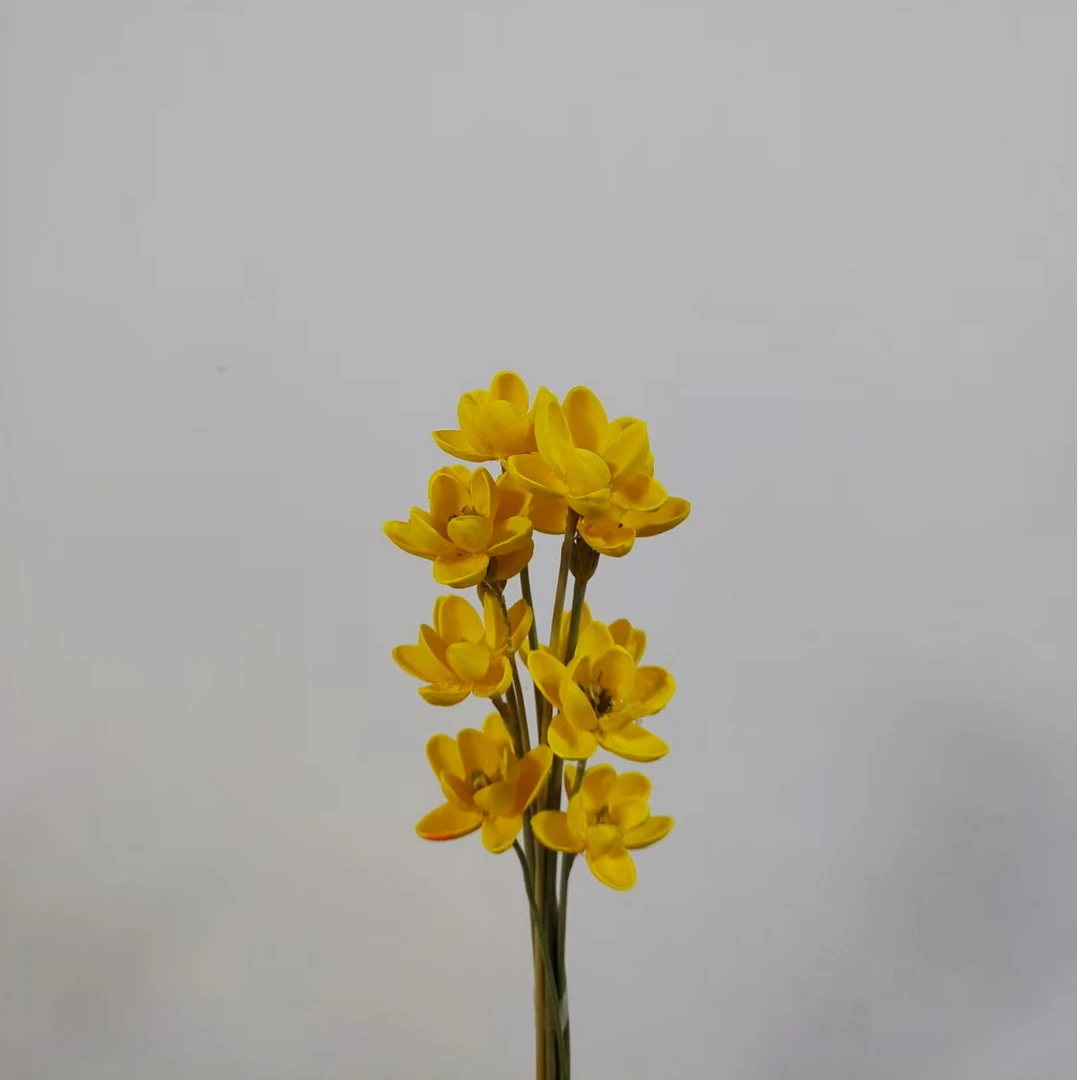 永生花幸运兰花束手工制作浪漫真花花束室内装饰摆件