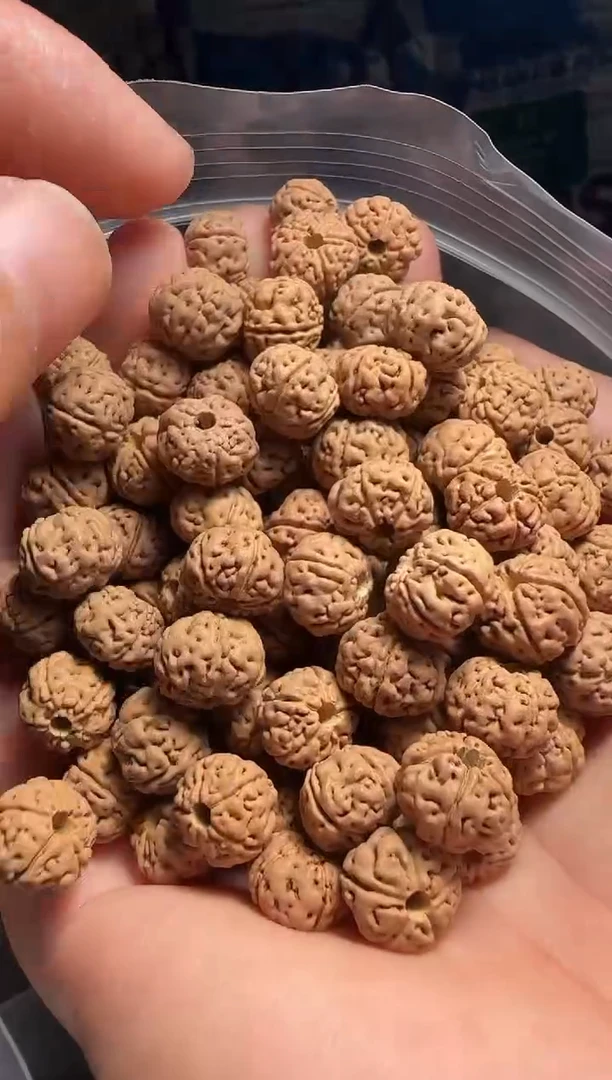 手串金刚菩提非全品老树王散籽10-11mm一份一百颗kdh