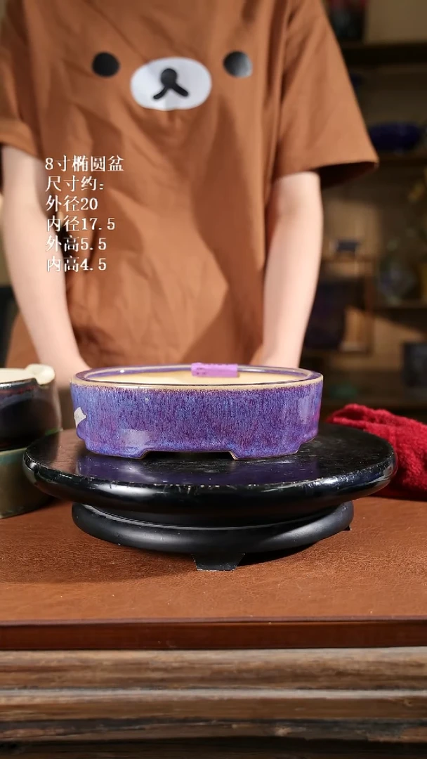 8寸椭圆盆   164