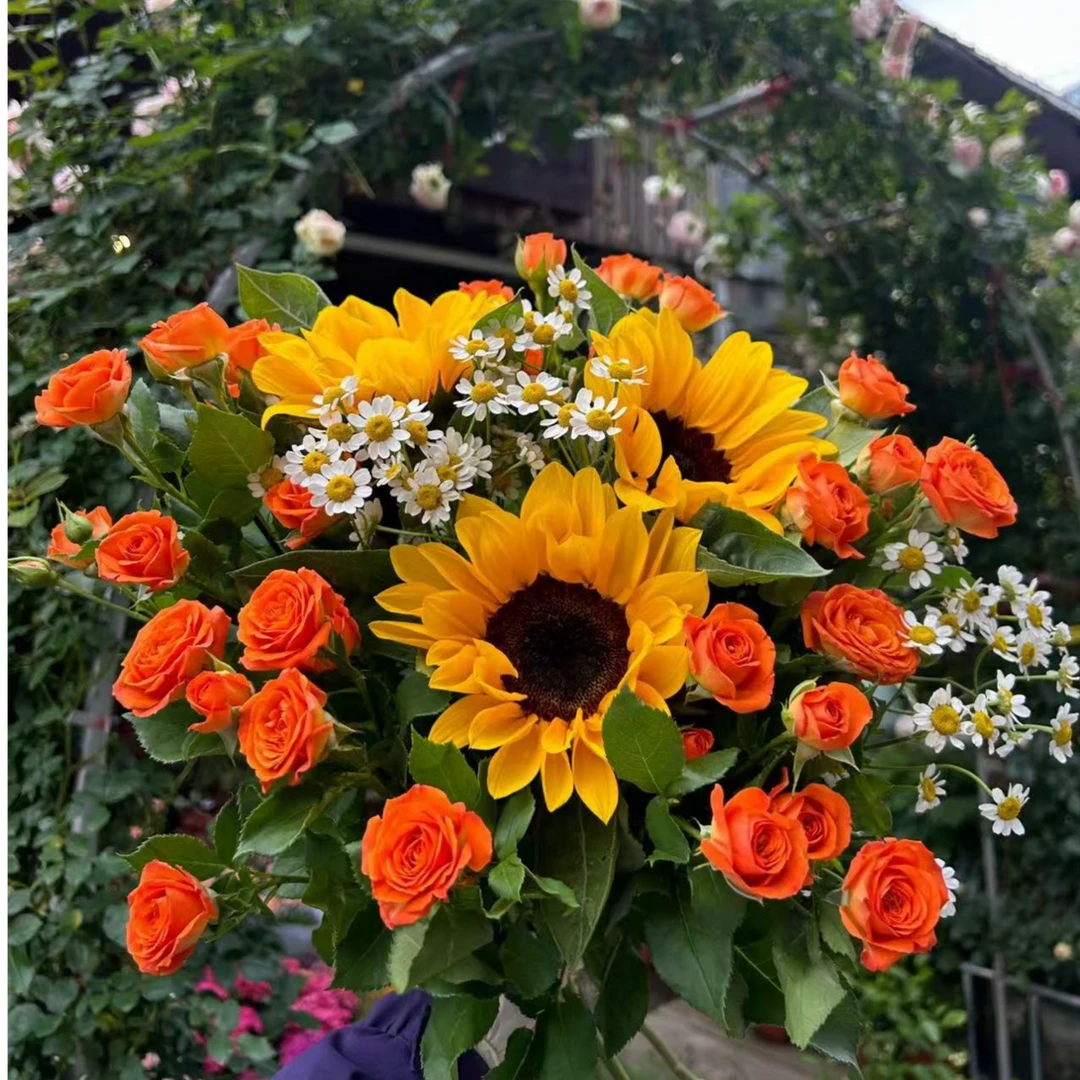 【鲜花套餐组合】基地鲜花顺丰包邮到家今天拍明天到鲜切花材毕业季  任意拍两单以上 送艺术花瓶一个