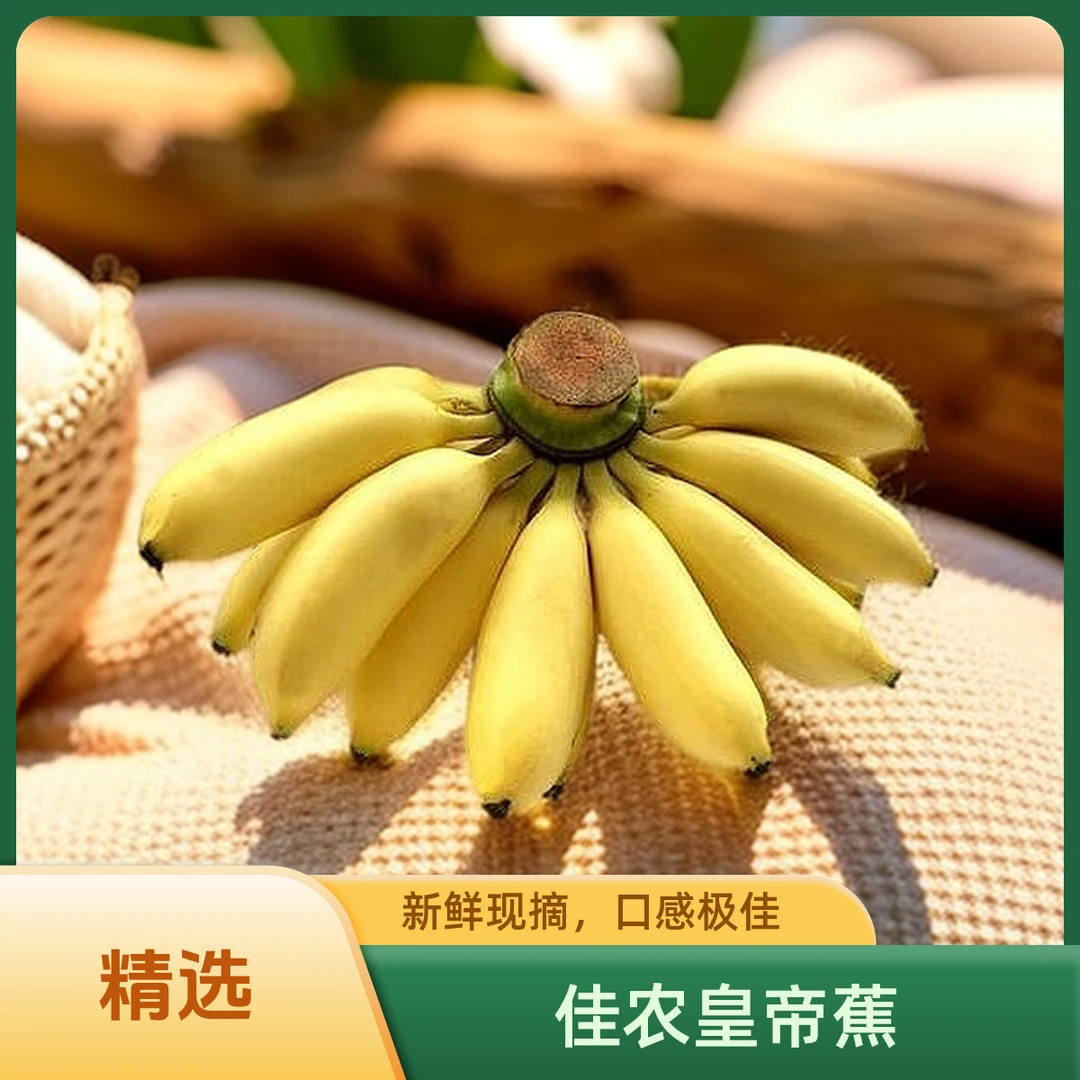 【精品包邮到家】佳农精品皇帝蕉小香蕉（2斤装）