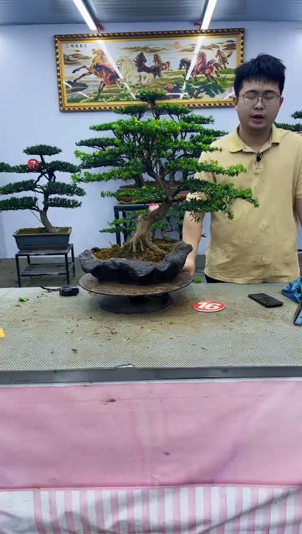 无花朵一物一拍，所见即所得