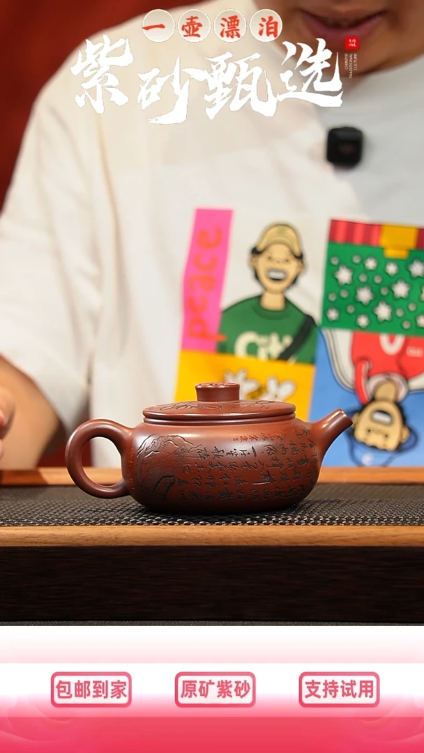 茶壶紫砂 一壶漂泊紫砂茶器2010