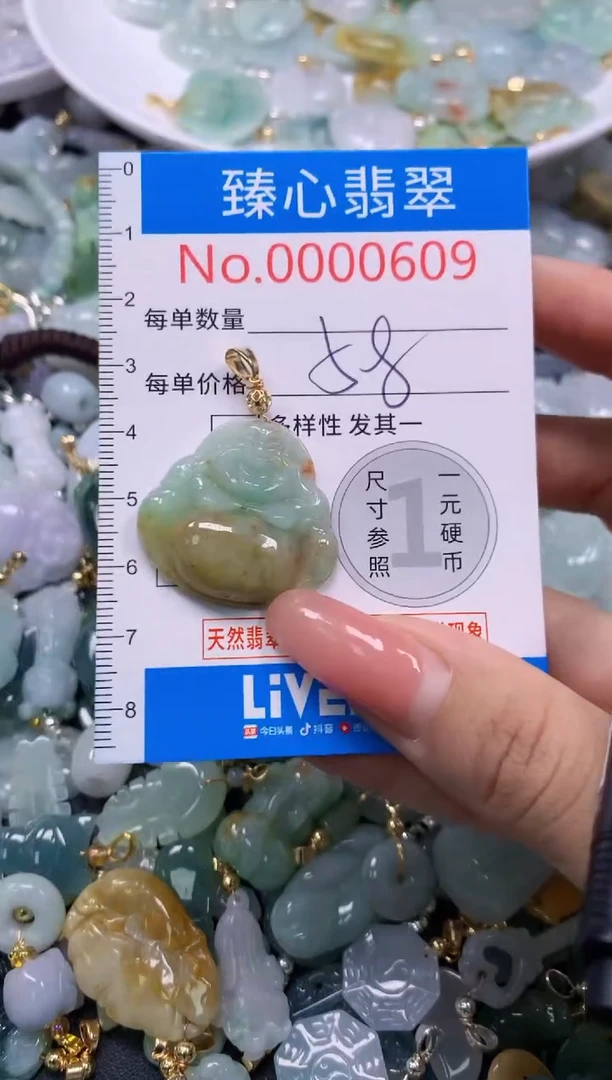 翡翠未镶嵌颈饰609