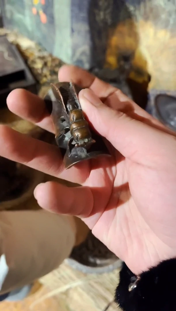 【闪购商品】硕少爷精选专属链接10