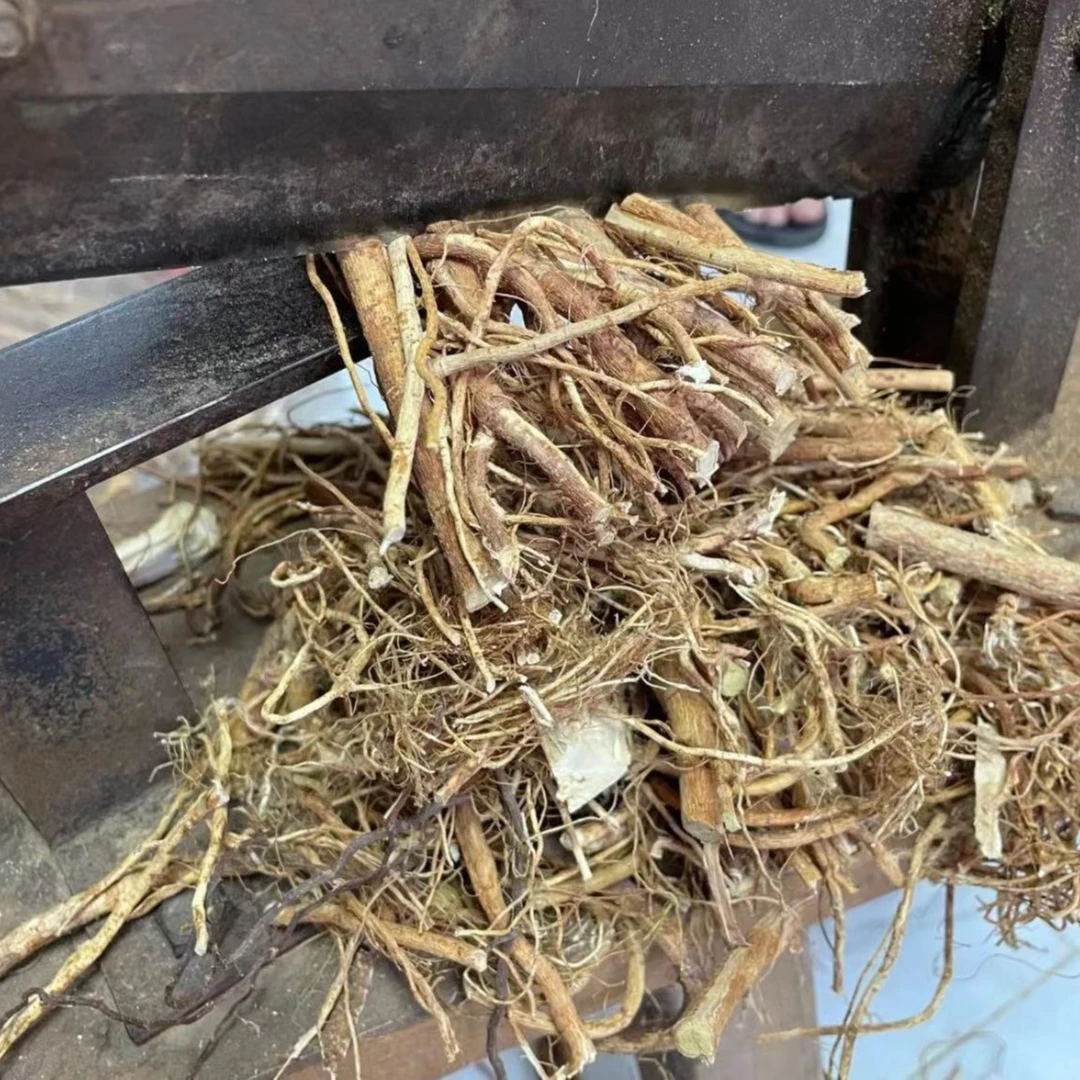 农产品 五指毛桃根 汤料（干货）500g/袋