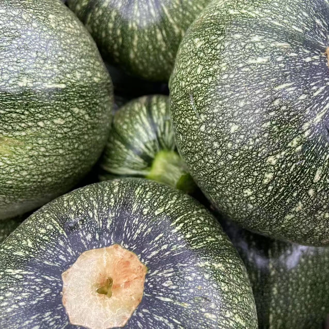 农家新鲜小南瓜子北瓜湖南澧县