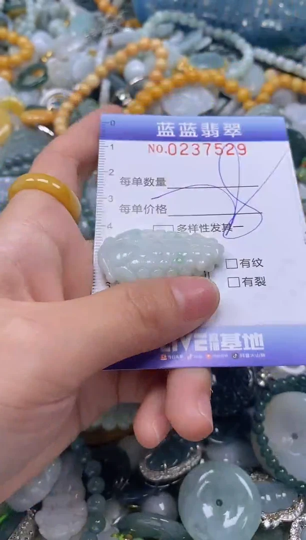 翡翠未镶嵌颈饰闪购0237529