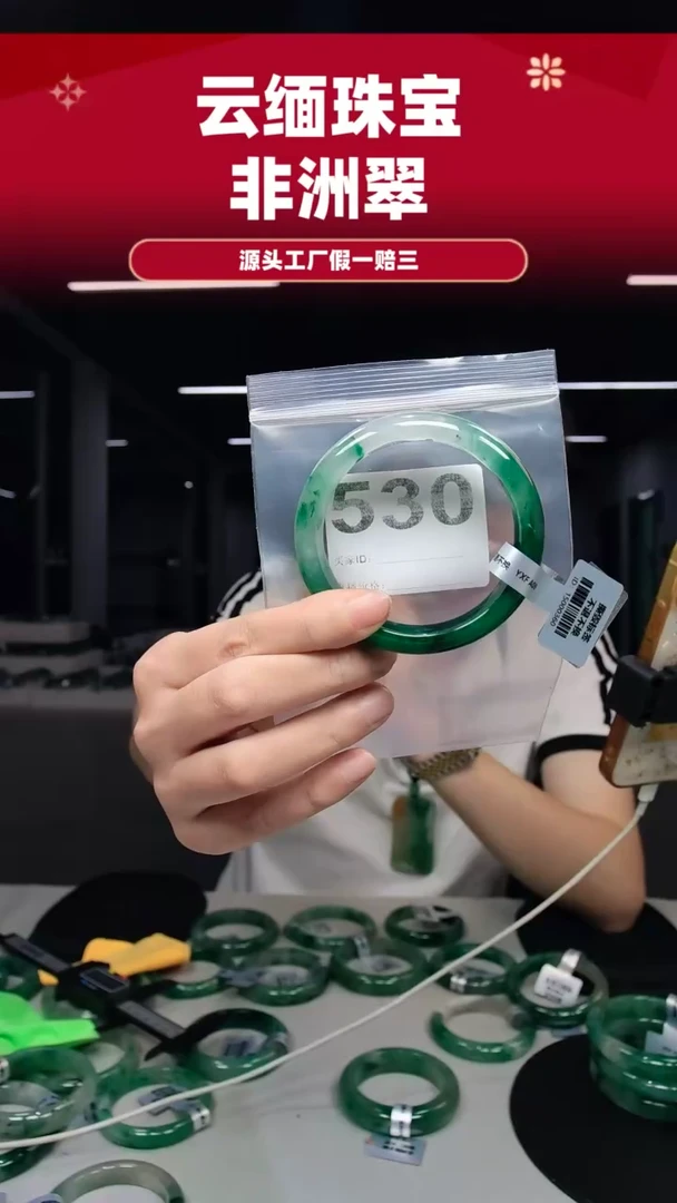 未镶嵌手镯石英质玉（非洲翠）58圈口530