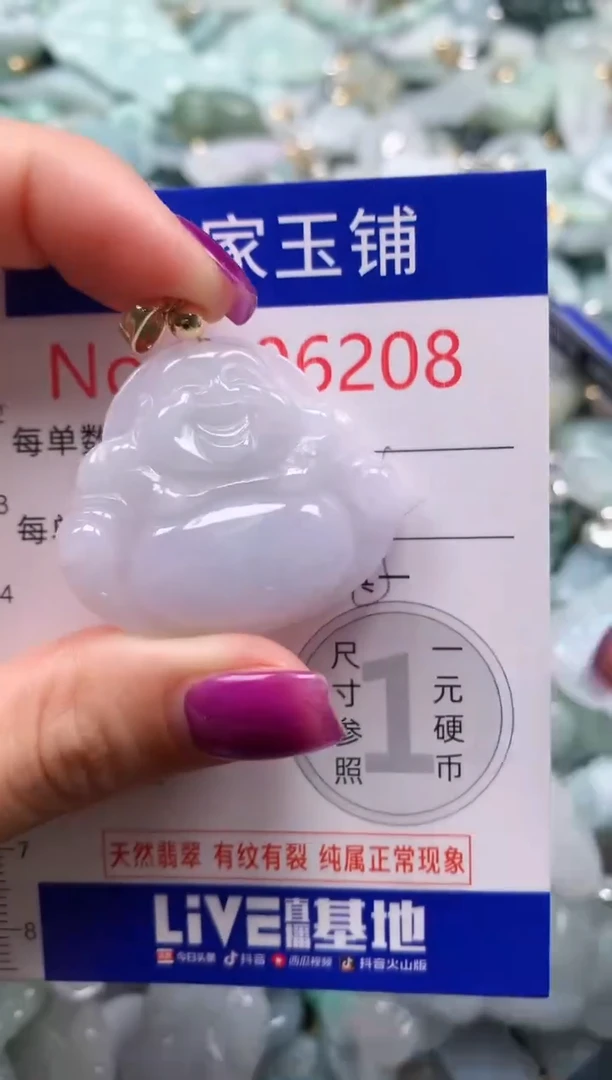 颈饰未镶嵌翡翠6208