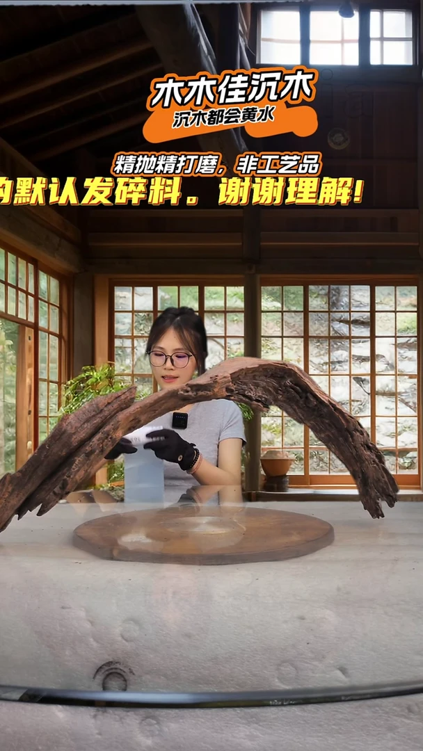 @*木木佳沉木鱼缸造景560