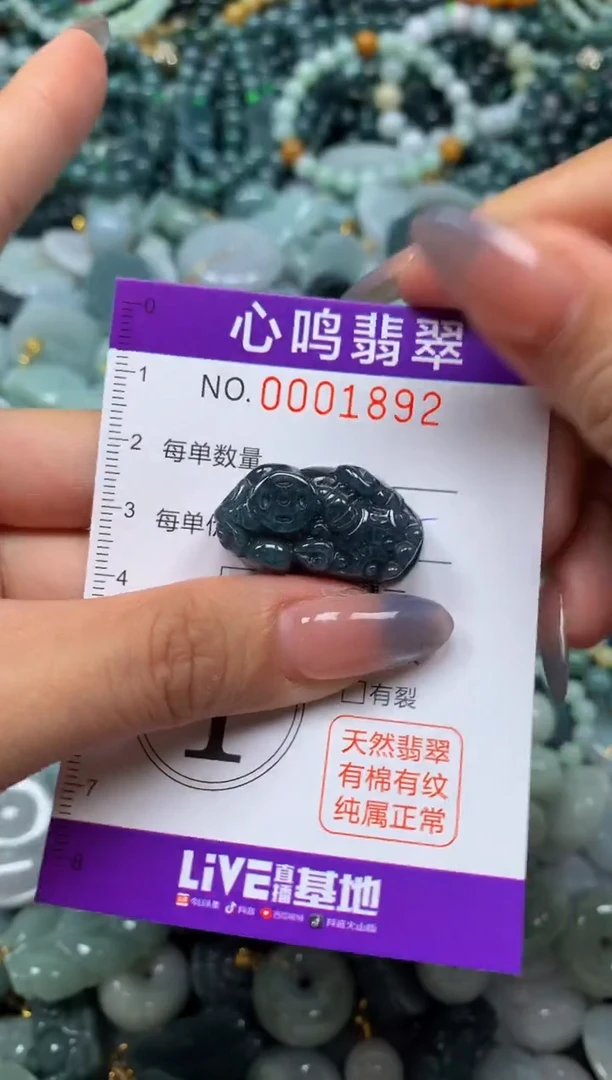 颈饰未镶嵌翡翠闪购001892