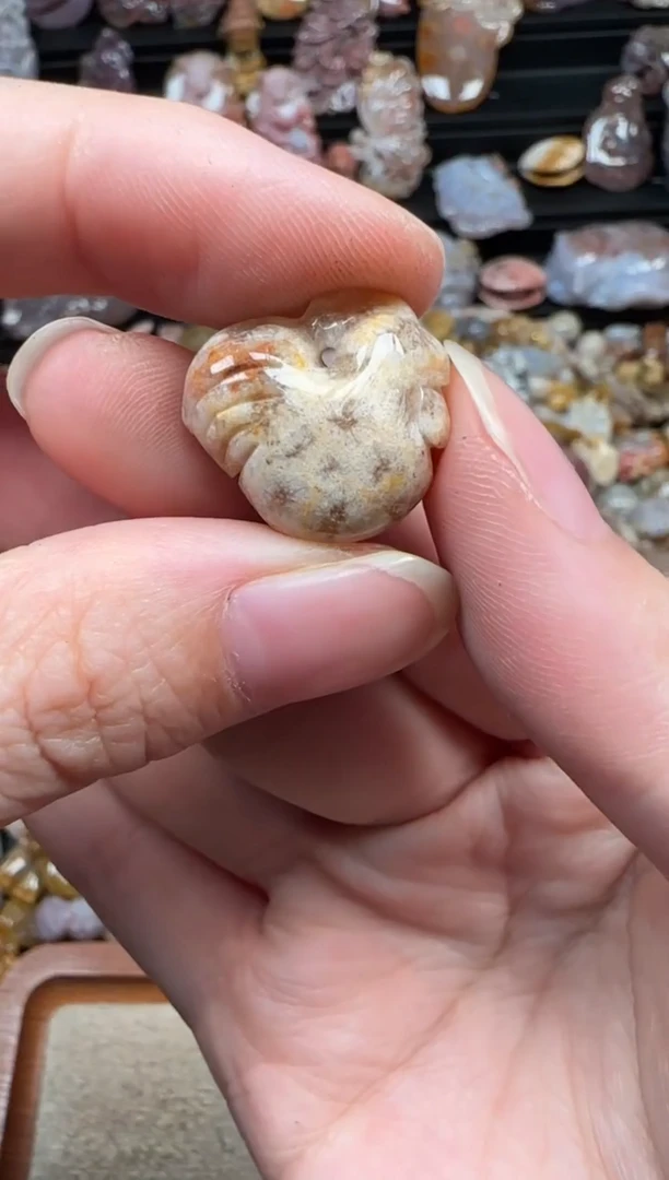 颈饰未镶嵌硅化珊瑚（珊瑚玉）371