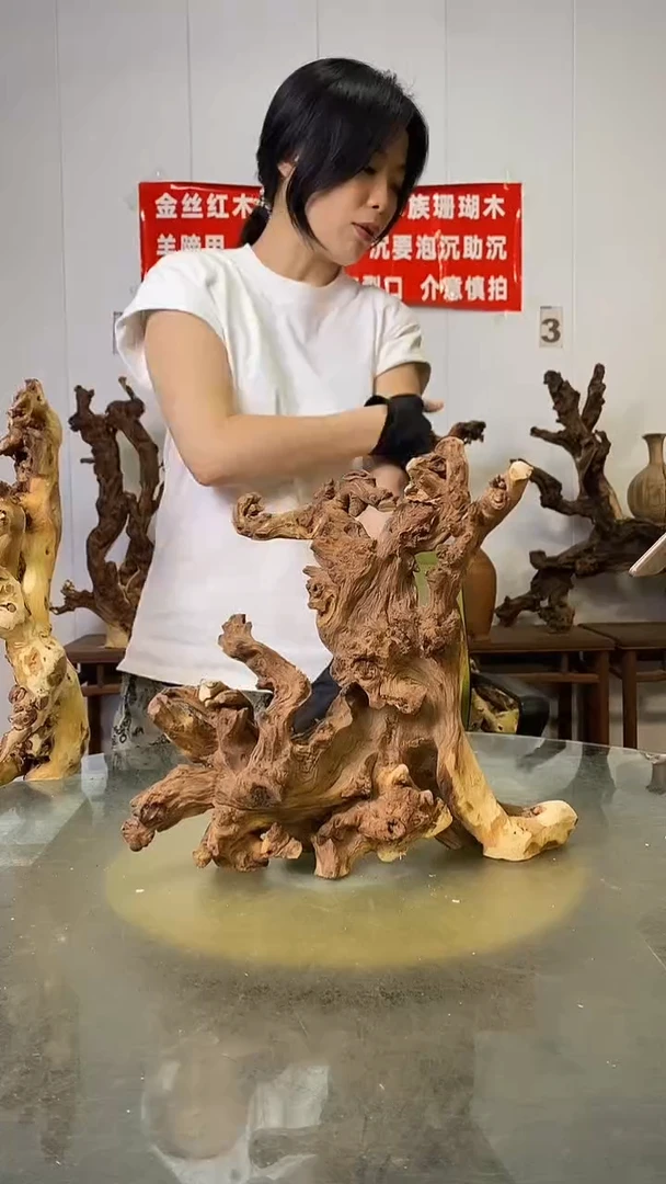 香榧木勇金丝红木   羊蹄甲