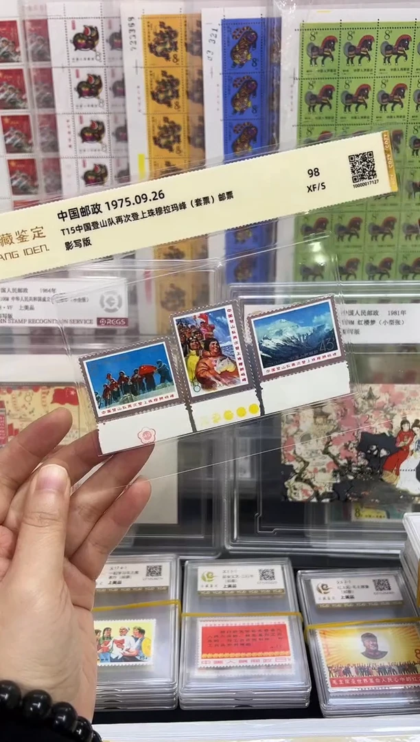 t15 登山队带色标