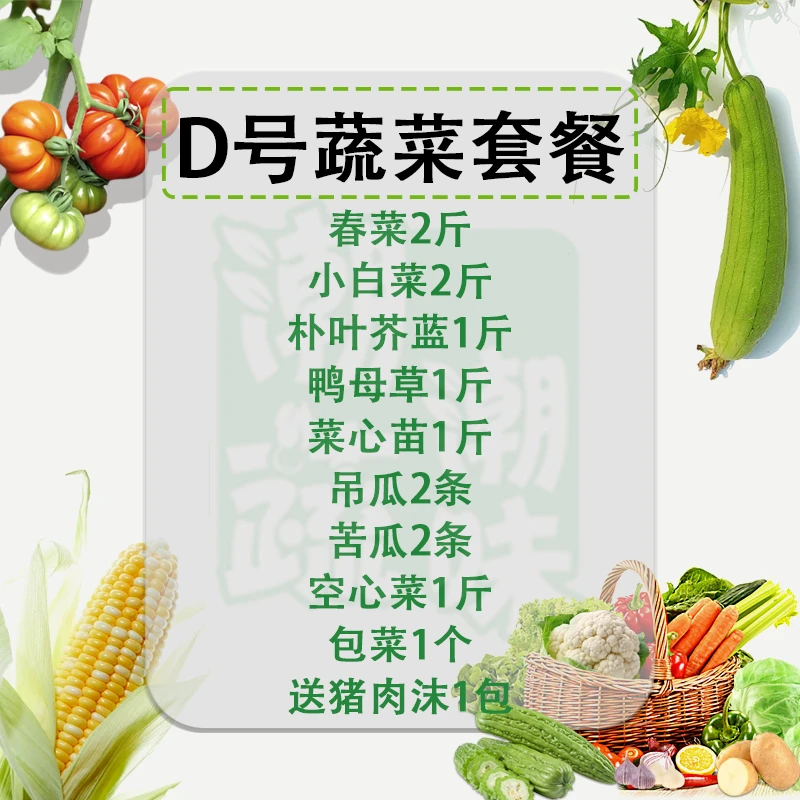 [D号蔬菜套餐]正宗潮汕农家菜本地蔬菜春菜芥兰省内冷链包邮现货