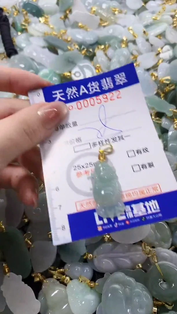 颈饰未镶嵌翡翠天然A货翡翠