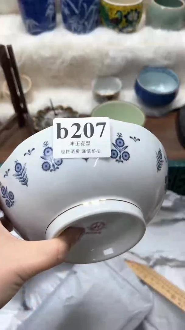 【闪购商品】瓷片          b207